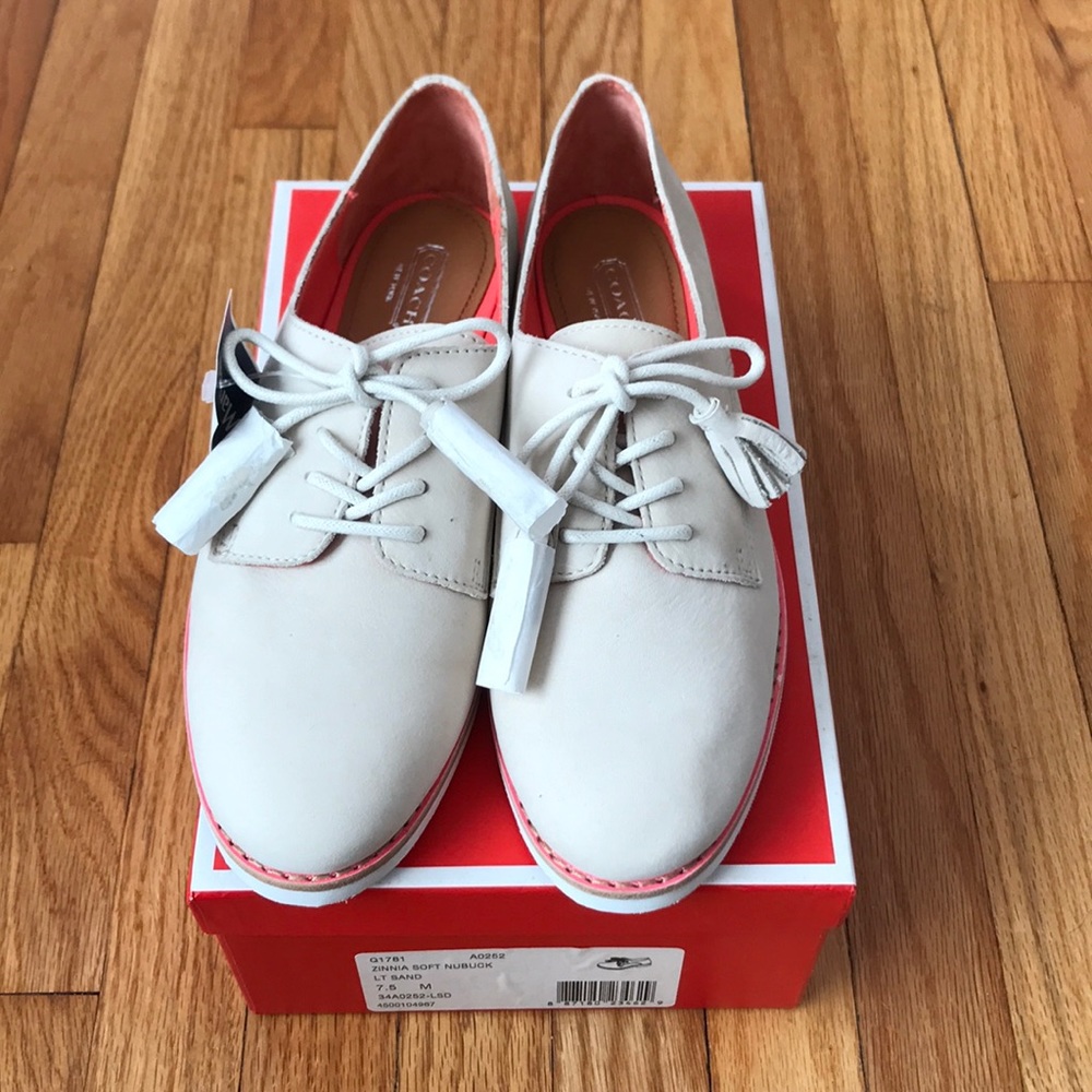 NIB Coach Zinnia Oxfords